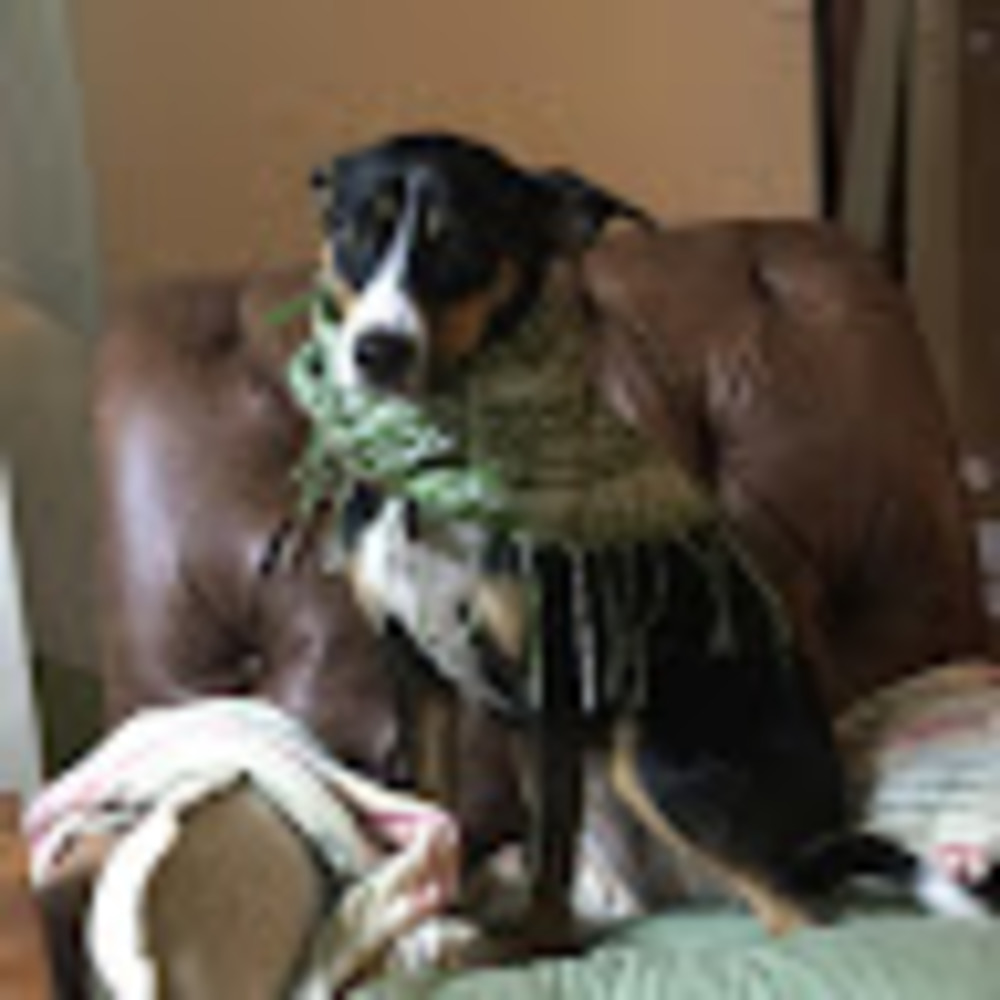 Meet your Posher, Caitlin